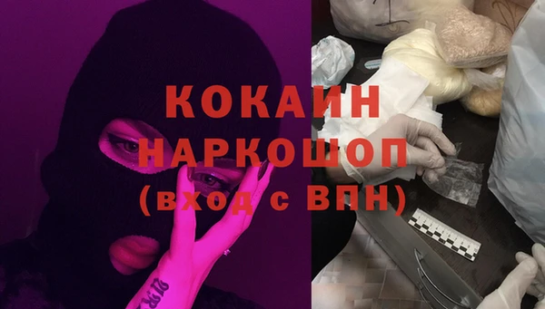 гидра Каменногорск