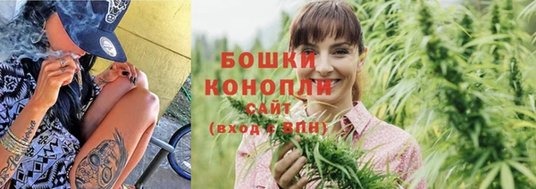 сатива Александровское